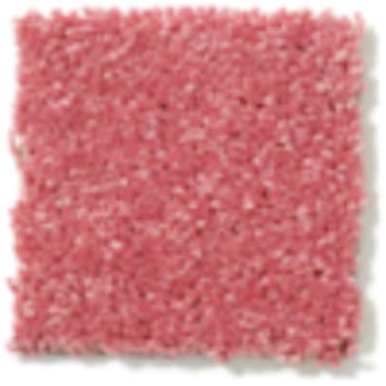 Shaw Newcomb Ridge Punch Texture Carpet-Sample